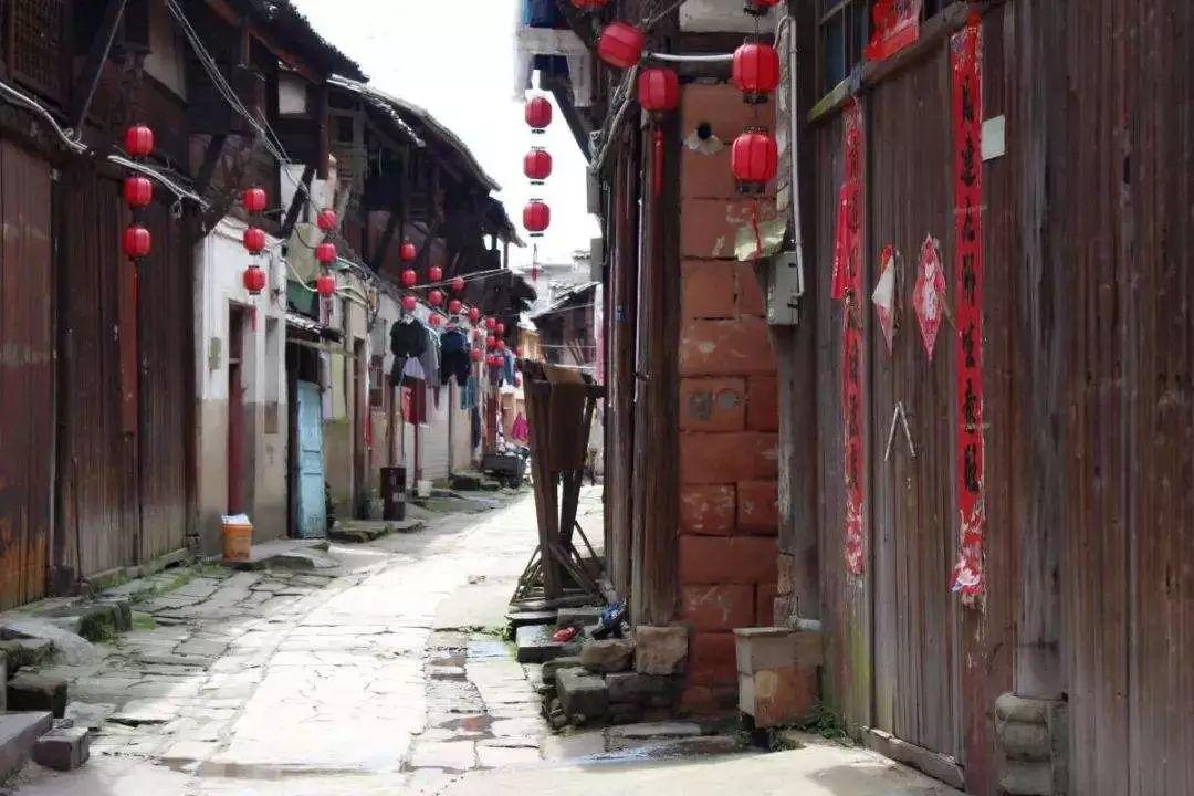 了解知识星球平台哪里可以看到操作系统是什么时候安装的,获取精彩知识分享